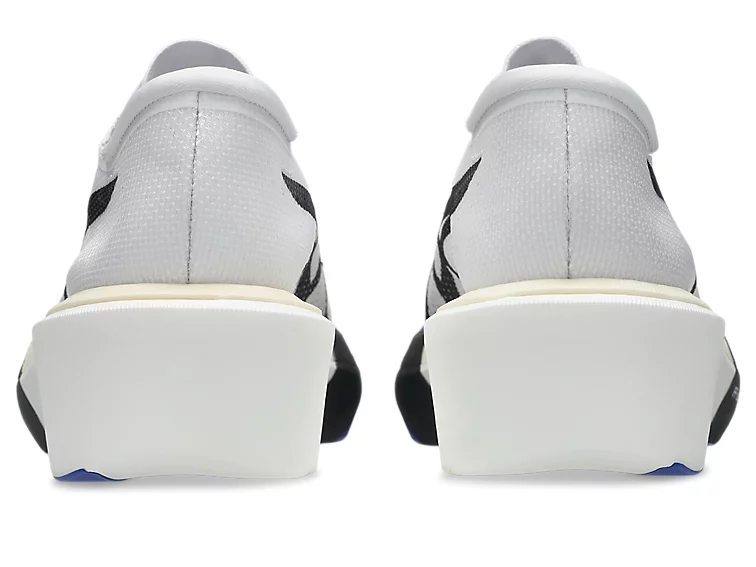 sky White:Cobalt Burst2