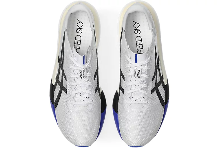 sky White:Cobalt Burst3