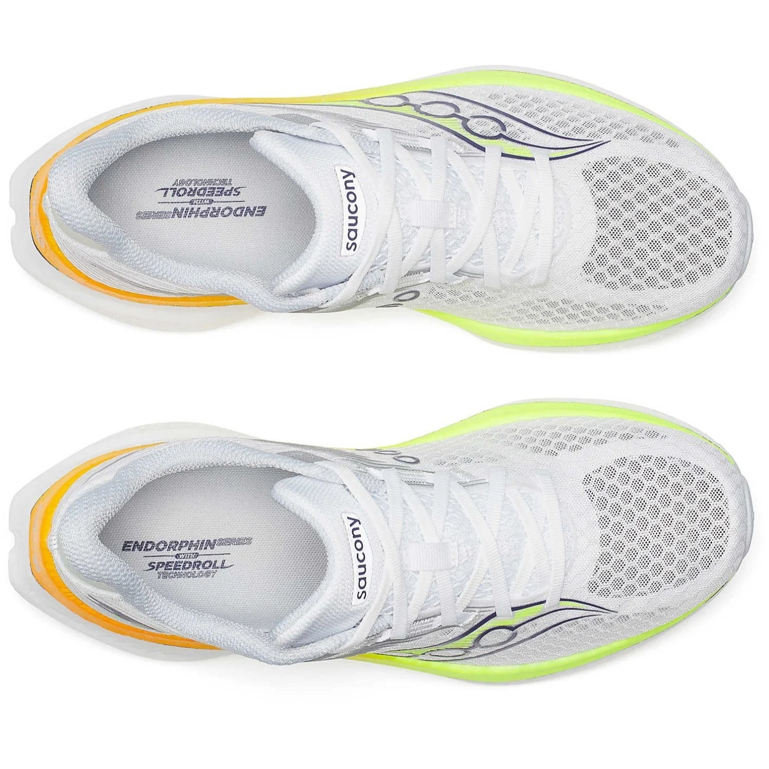 sp5 Winter Sunrise:White:Yellow4